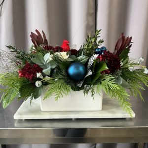 Cardinals Winter Sparkle