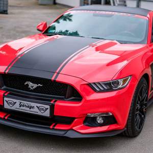 Red Mustang
