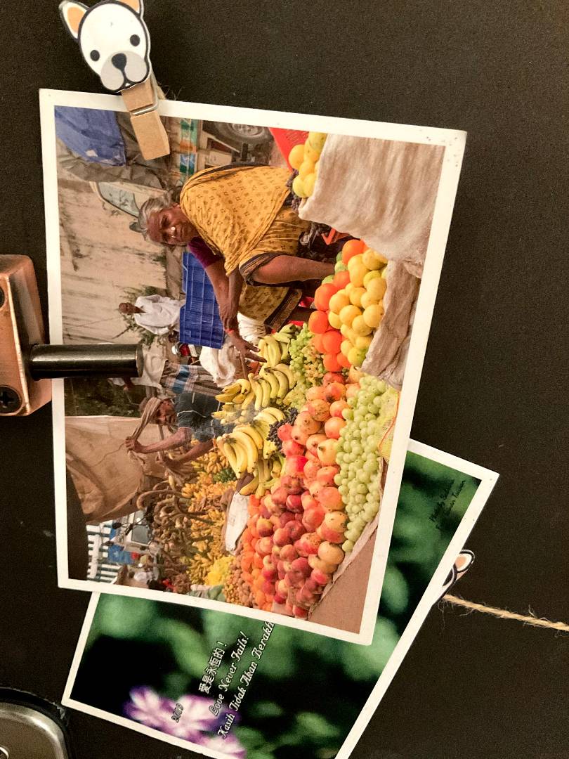 Lot #10 (main image)
